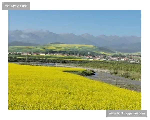 门源高原训练基地获批成为青海省队夏季训练新址落地林海